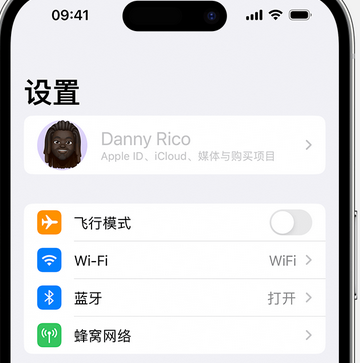 霍山appleID维修服务iPhone设置中Apple ID显示为灰色无法使用 