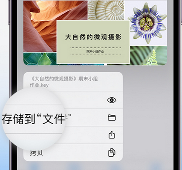 霍山apple维修中心分享iPhone文件应用中存储和找到下载文件