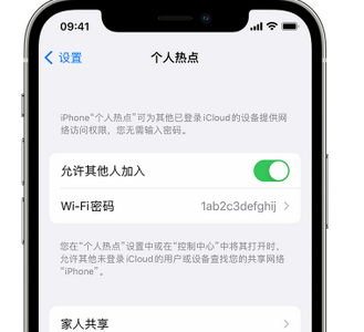 霍山apple服务站点分享iPhone上个人热点丢失了怎么办 