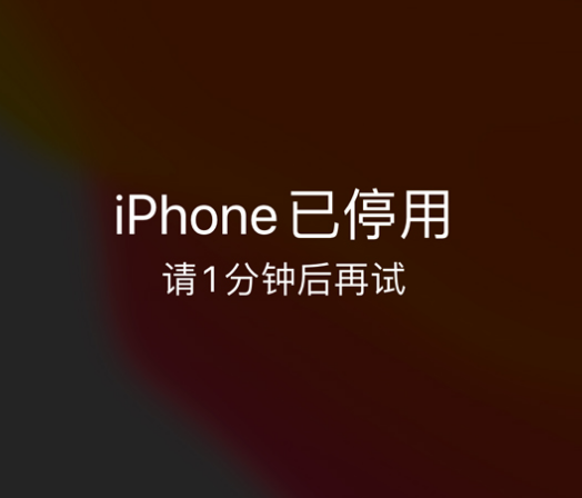 霍山苹果手机维修分享:iPhone 显示“不可用”或“已停用”怎么办？还能保留数据吗？ 