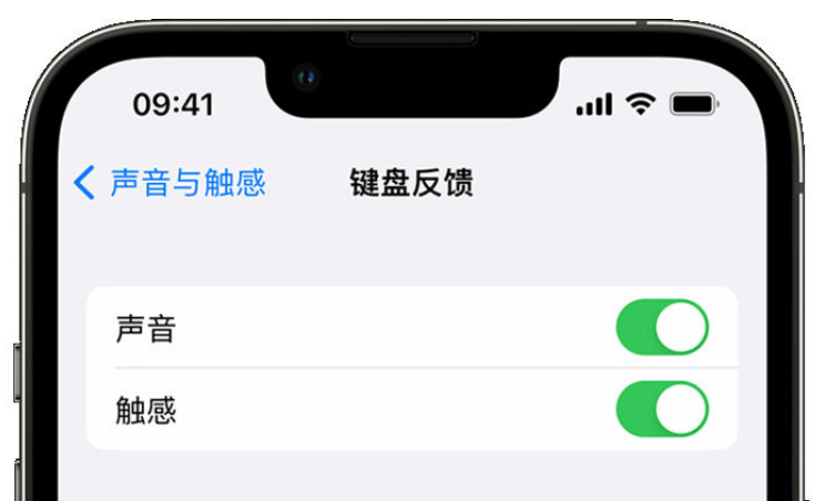 霍山苹果手机维修分享iPhone 14触感键盘使用方法 