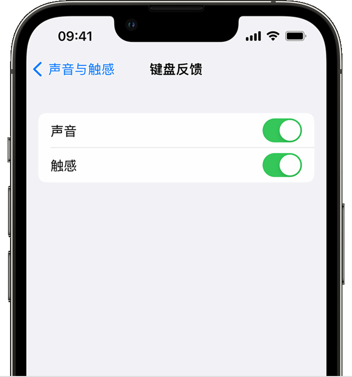 霍山苹果14维修店分享如何在 iPhone 14 机型中使用触感键盘 