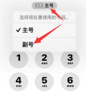 霍山苹果14维修店分享iPhone 14 Pro Max使用副卡打电话的方法 