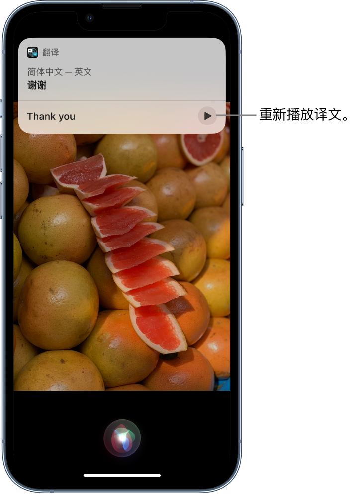 霍山苹果14维修分享 iPhone 14 机型中使用 Siri：了解 Siri 能帮你做什么 