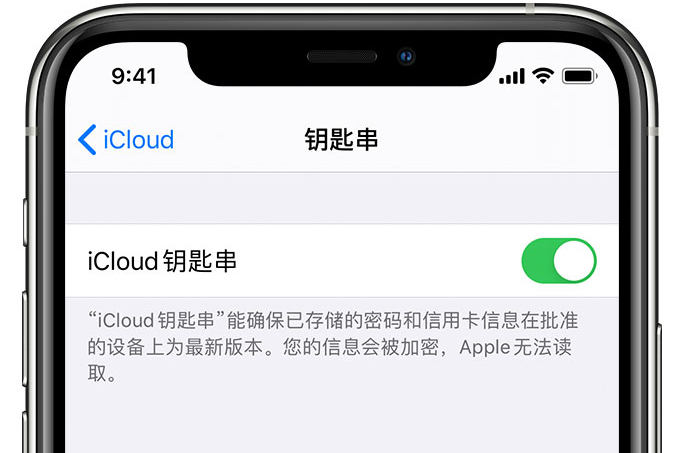 霍山苹果手机维修分享在 iPhone 上开启 iCloud 钥匙串之后会储存哪些信息 