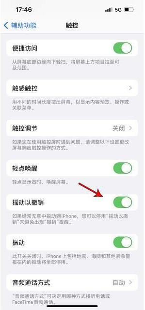 霍山苹果手机维修分享iPhone手机如何设置摇一摇删除文字 